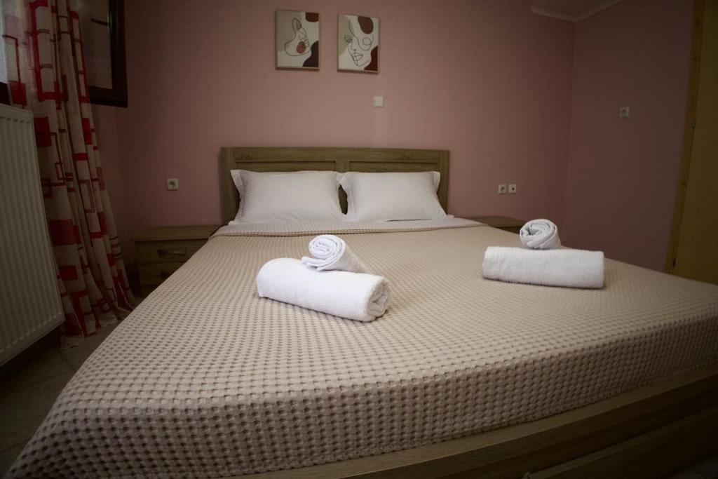 Mountain Harmony Home โคนิทซา ภายนอก รูปภาพ