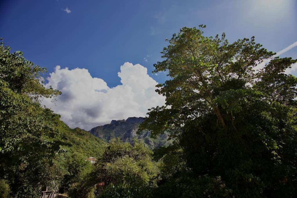 Mountain Harmony Home โคนิทซา ภายนอก รูปภาพ